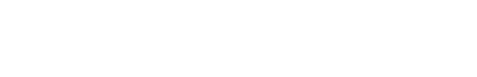 VisualPilot logo
